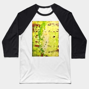 Birch Baseball T-Shirt